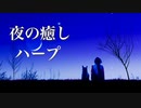 星空音楽会【夜の癒しBGM】心やすらぐ優しい音色でリラックス♪