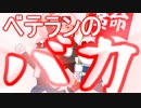 ベテランのバカ。バカのベテラン。
