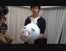 【セカンダリ】続々とフィッシャーズメンバーの赤ちゃんが生まれております！？