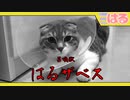 普段は触ると怒るけど、ザベス中はむしろクッソ触ってほしい子猫【召喚獣はる】