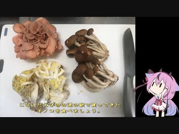 珍食材が食べたい！#59　トキイロヒラタケとヤナギマツタケとタモギタケと