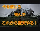 ボッチでやるFF14＃４　(ビスマルク)
