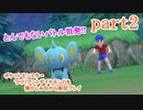 ポケットモンスター ブリリアントダイヤモンドを懐かしみながら実況プレイ　part2