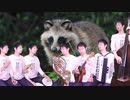 【演奏してみた】「あつまれどうぶつの森」のテーマを一人で演奏してみた
