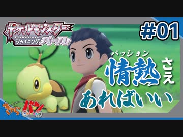 【ポケモンBDSP】ジムごとに仲間が増えるポケモン#01【きゃらバン】