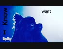 『You're Beautiful(仮)』【オリジナル曲】【弾き語り】【TokyoAmphi】