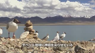 デンマークの一流大学が中国軍との共同研究に関与、高山病の怪しい薬を開発しチベットにのさばる模様