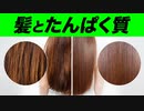 髪とたんぱく質の関係 | 管理栄養士が解説【ビーレジェンド プロテイン】