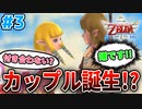 【ゼルダの伝説】サイコパス勇者!!ゼルダ姫に告白される!?#3【スカイウォードソードHD】