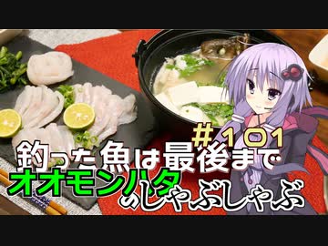 釣った魚は最後まで　＃１０１　オオモンハタのしゃぶしゃぶ【VOICEROIDキッチン】