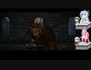 自由気ままにドラゴンズドグマをプレイ　１２