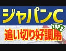【ジャパンCの追い切り】抜群の動きを見せたのは“この３頭”だ！！【ジャパンカップ2021予想】