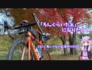 「ろんぐらいだぁ」になりたくて。EP11鬼じゃない紅葉狩りin吉野