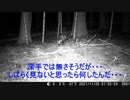 不定期トレイルカメラ・第２５回