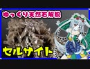 【講座動画投稿祭2021秋】セルサイト【ゆっくり天然石解説】
