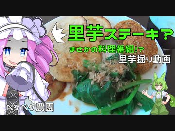 2021年11月25日　農作業日誌　里芋ステーキ？まさかの料理番組！？里芋掘り動画　VOICEVOX解説