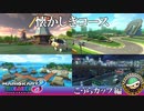 【実況】当時はなかった200cc こうらカップ編【マリオカート8DX】
