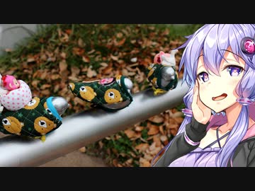 「さすゆか」なんて言わせない！ #1 ～ブウベツの森キャンプ場～