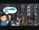 ストレスランド東京③　～東京では一般的な鳩～