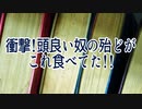 衝撃!頭良い奴の殆どがこれ食べてた!!
