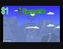 【実況】アクション苦手だけどテラリアやるどー①【Terraria】
