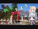 【CeVIO車載】栃木を走る#27　秋に染まる高根沢