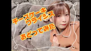 【るな】チーズケーキクライシス【踊ってみた】
