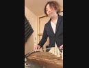【初恋 cover／村下孝蔵】和楽器で演奏してみた