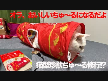 猫型珍獣、ちゅ〜るトンネルでちゅ〜るになる修行をする