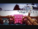 ＃6　壁に牧場にサトウキビ！！やることいっぱい！あぁ～忙しい忙しい♪【Minecraft】シングルバイオーム❅雪原❅でサバイバル生活