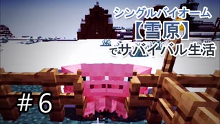 ＃6　壁に牧場にサトウキビ！！やることいっぱい！あぁ～忙しい忙しい♪【Minecraft】シングルバイオーム❅雪原❅でサバイバル生活