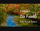 Die Forelle - Schubertを結月ゆかり麗に活き活きと歌ってもらった【第十二回ボカロクラシカ音楽祭】