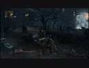 【Bloodborne】初心者は本当にヤーナム市街を抜けられないのか１０終