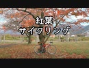 秋の紅葉サイクリング