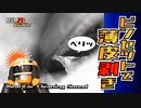 【イヤースコープASMR】ピンセットで薄皮をべりッと剥がす音/本物耳かき音/Real Ear Cleaning Sound