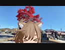 【車載適量】ちょっとそこまで行った日記～山梨富山長野【ささら微量】