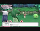 また色違いだー!!#8【ポケットモンスター シャイニングパール】