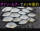 百均メタルバイブでメッキばこばこ釣れたｗ