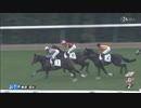 関東からまた強い馬が・・　11/21 新馬戦 ダノンベルーガ