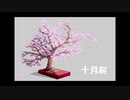 十月桜