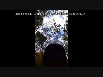 【動画を】紅葉を写したかった【初編集】