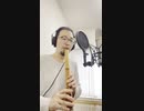 【ロマンシングサガ３ ラストバトル cover／伊藤賢治】和楽器で演奏してみた