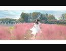 【坎蒂】翡翠のまち[踊ってみた]