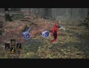 ボロ負け闇霊の侵入　パート5