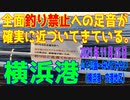 緊急！今、釣り場が危ない！（横浜港 内港地区）2021年11月25日