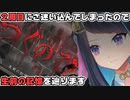 【つぐのひ -霊刻の踏切り-】生前の記憶を辿る！後編【ホラーゲーム実況】