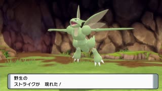 【ポケットモンスターブリリアントダイヤモンド】地上にはいない珍しいポケモン沢山！？楽しすぎて地上に浮上できない洞窟大冒険！！【実況】　その９
