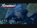 広大な世界での復讐と創世の物語【Xenoblade実況】#55
