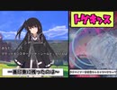 【アリミリ実況プレイ】どうあがいてもトゲキッス＃４