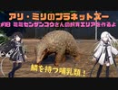 アリ・ミリのプラネットズー#18　ミミセンザンコウさんの飼育エリアを作るよ